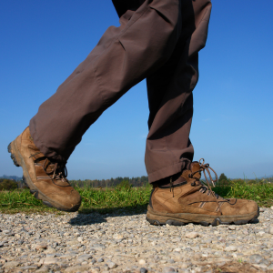 Walking Shoes