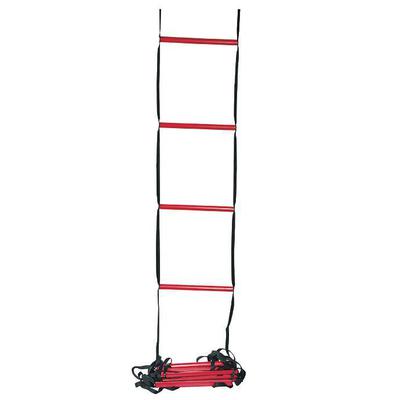 Wilson Coaching Aid (Training Ladder) - main image